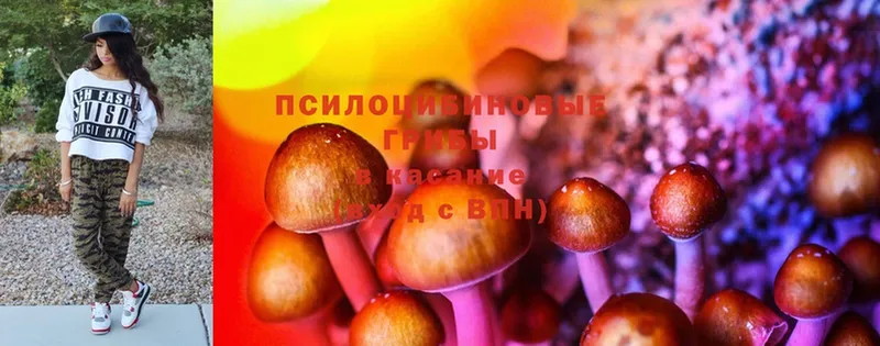 Галлюциногенные грибы Cubensis  Вичуга 